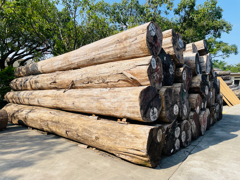 Supporto tecnico per la garanzia della qualit&agrave; della fabbrica di origine importata dal Myanmar per tronchi di teak