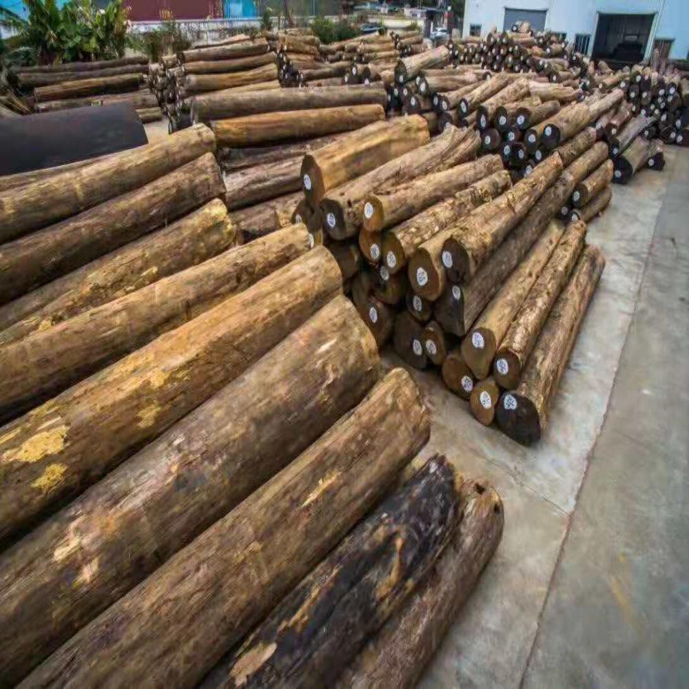 Supporto tecnico per la garanzia della qualit&agrave; della fabbrica di origine importata dal Myanmar per tronchi di teak