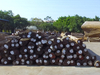 Rohmaterial: Burma-Teakholz, Teakholz