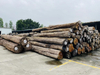 Tronchi di Teak Myanmar importati non fessurati