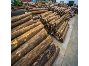 Tronchi di Teak Myanmar importati non fessurati