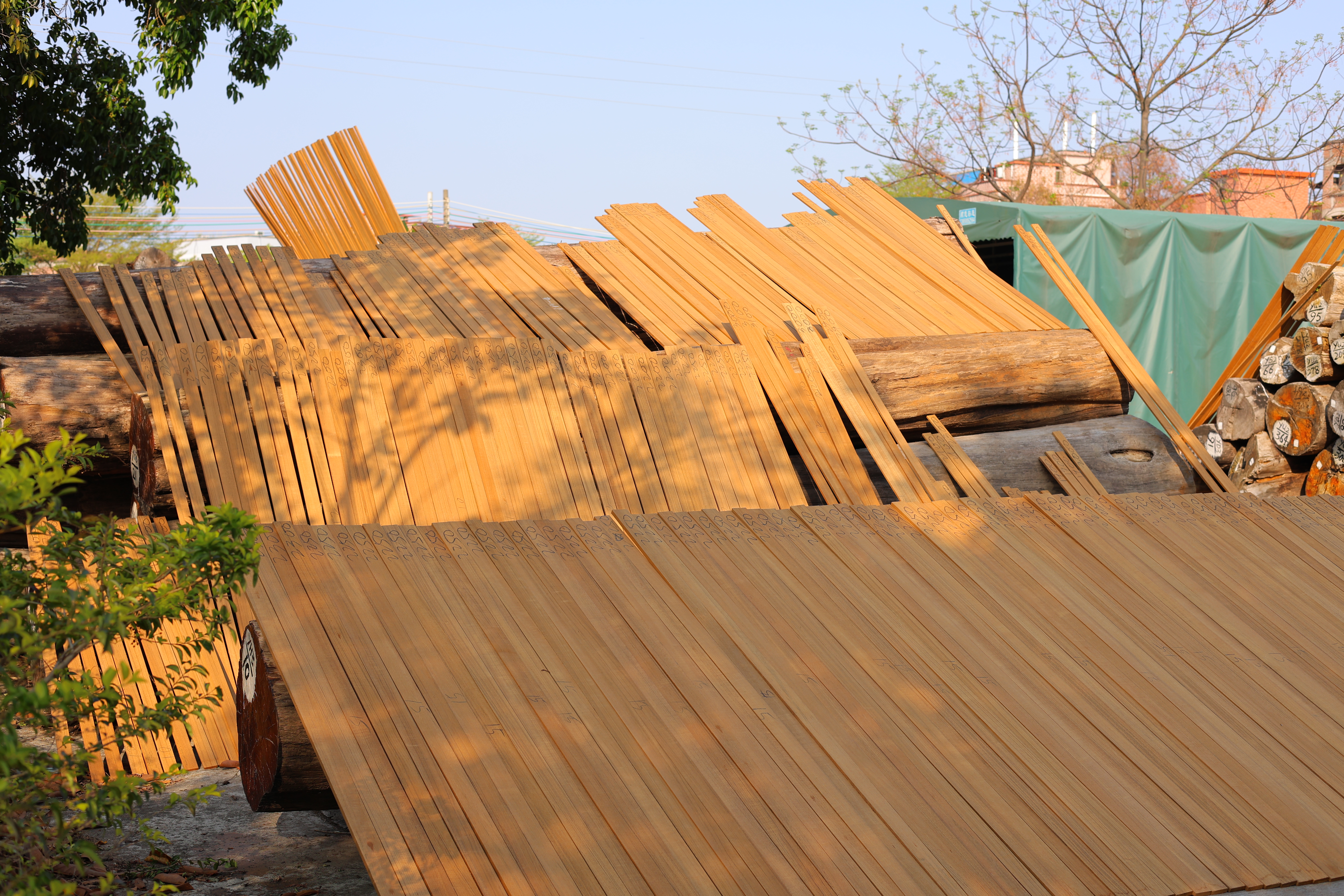 Natura premium, senza cicatrici, senza ponti in teak birmano alburno